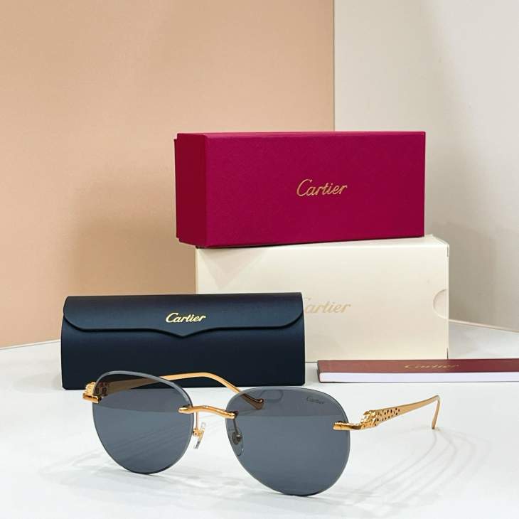 Picture of Cartier Sunglasses _SKUfw79616239fw